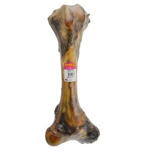 Smoked Beef Jumbo Femur Bone (1pk)