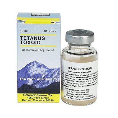 Tetanus Toxoid Concentrate 1ds