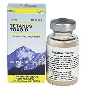 Tetanus Toxoid Concentrate 1ds