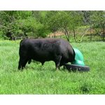 AmeriAg AA245 Mineral Feeder, 24.5 inch Tire, For Livestock
