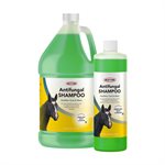 Durvet Antifungal Equine Shampoo - Gallon