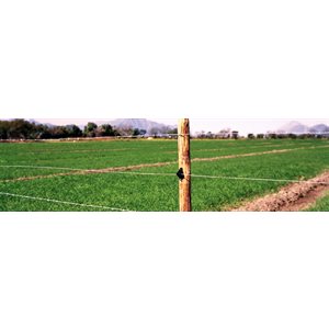 Stay-Tuff® DST-417 Tuff-Strand High Tensile Smooth Wire Electric Fence, 170 kpsi, 4000 ft