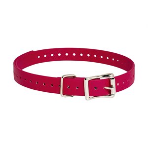 Radio Systems SAC00-11820 SportDog® Collar Strap, 3 / 4 inch, Red, Polyurethane Coated Nylon, Dog