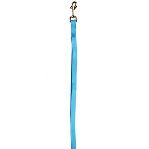 Leash 3 / 4" x 4' Single Layer Turquoise