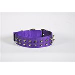 Collar 1 3 / 4" x 16" Spike Purple